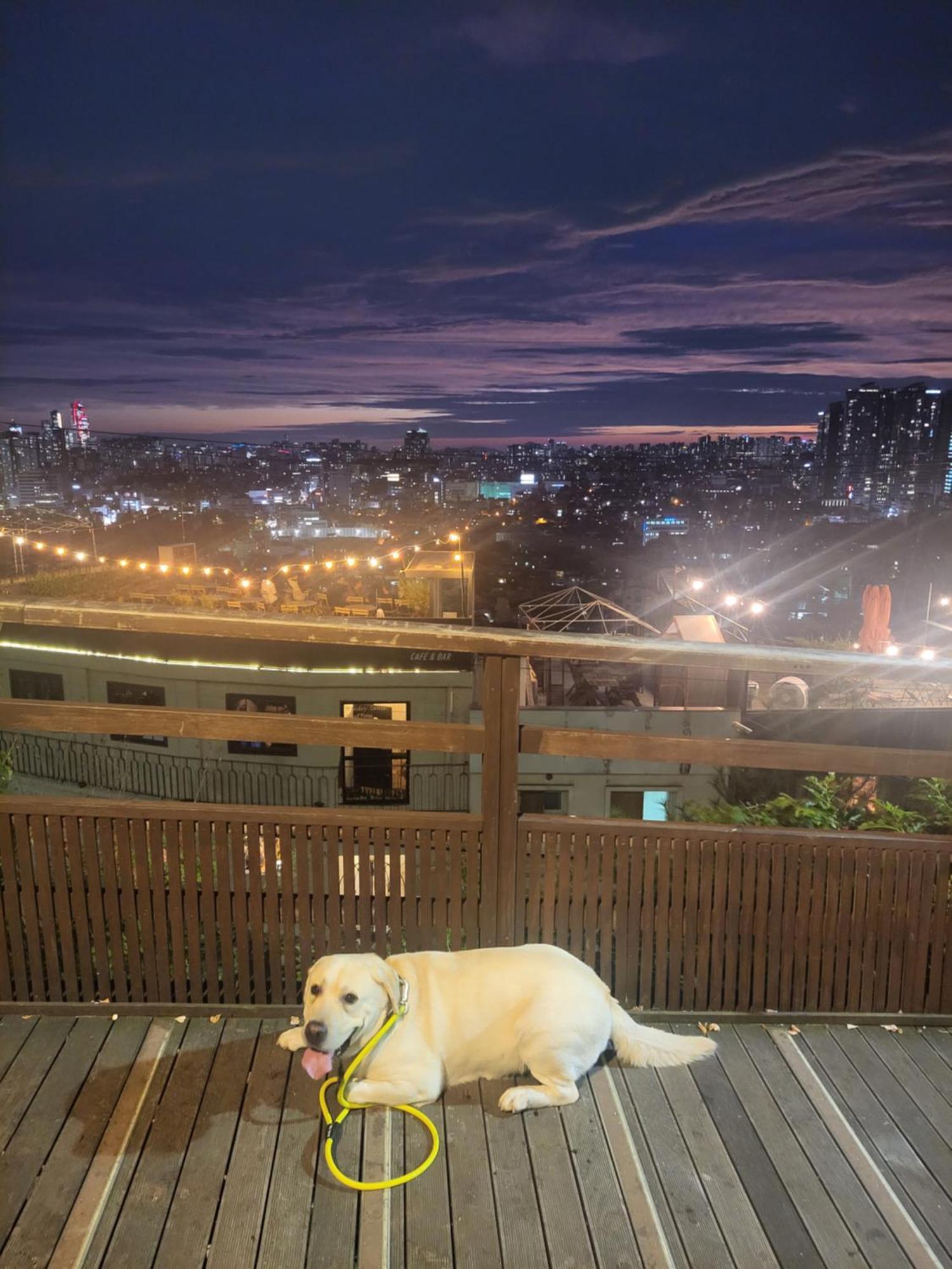 Brand New 2 Bedroom Apartment #6 Seoul Exterior photo