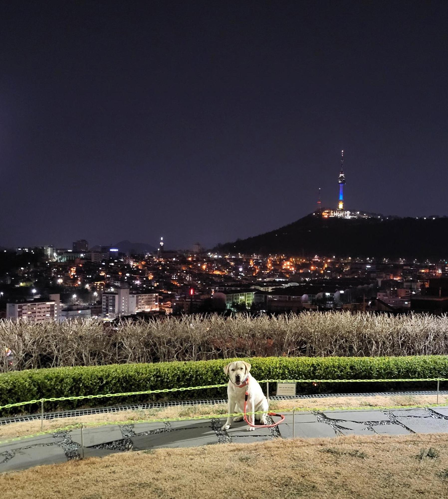 Brand New 2 Bedroom Apartment #6 Seoul Exterior photo